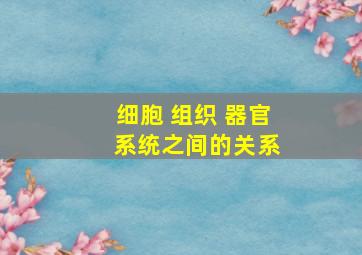 细胞 组织 器官 系统之间的关系